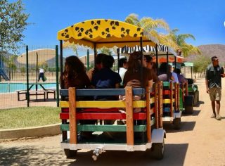 ¿Qué hacer en Valle de Guadalupe con niños? - Club Valle de Guadalupe