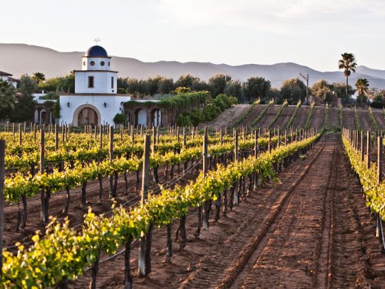 cuánto dinero se gasta en valle de guadalupe