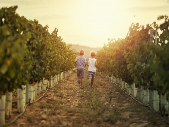 que hacer en valle de guadalupe con niños