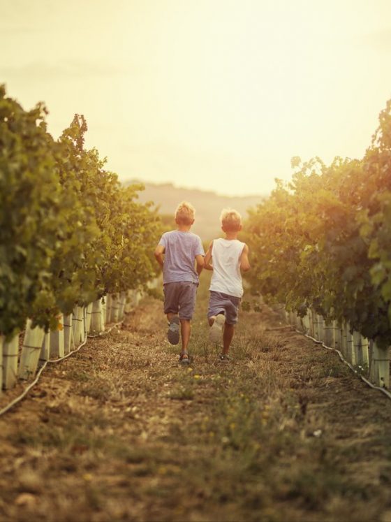 que hacer en valle de guadalupe con niños