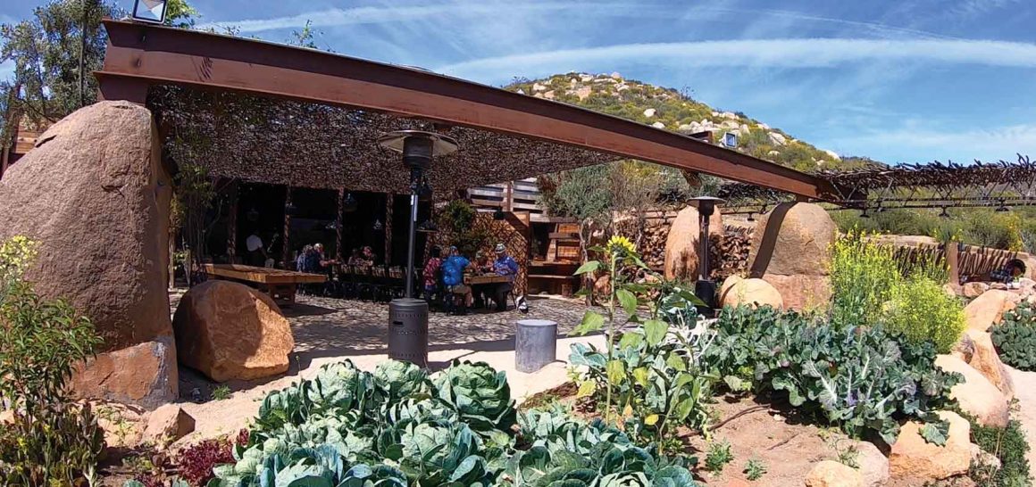 michelin star restaurants valle de guadalupe