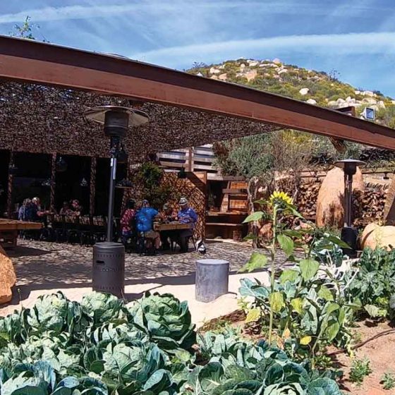 michelin star restaurantes valle de guadalupe
