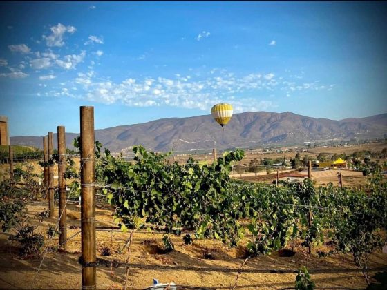 cuánto te gastas en valle de guadalupe