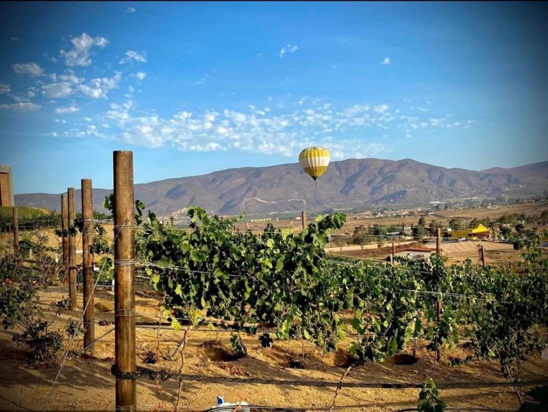 cuánto te gastas en valle de guadalupe