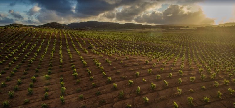 best places in valle de guadalupe