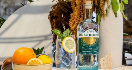gin de las californias