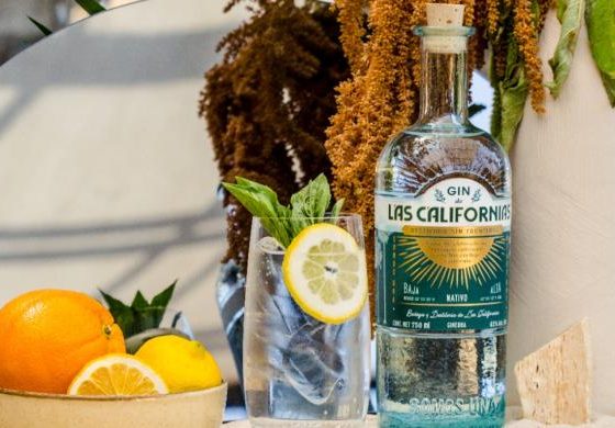 gin de las californias