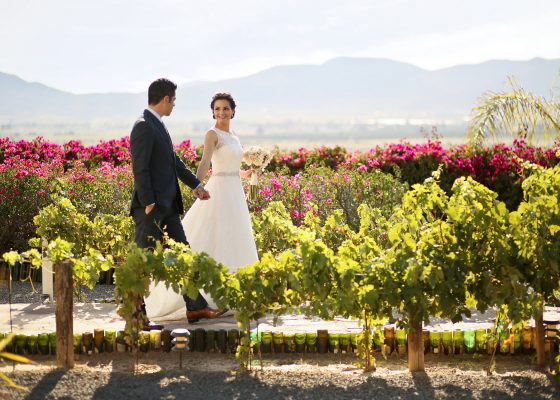 paquetes de boda en valle de guadalupe