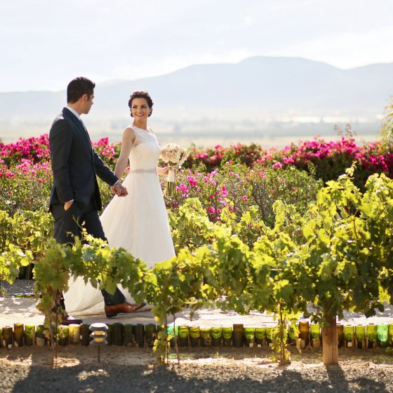 paquetes de boda en valle de guadalupe
