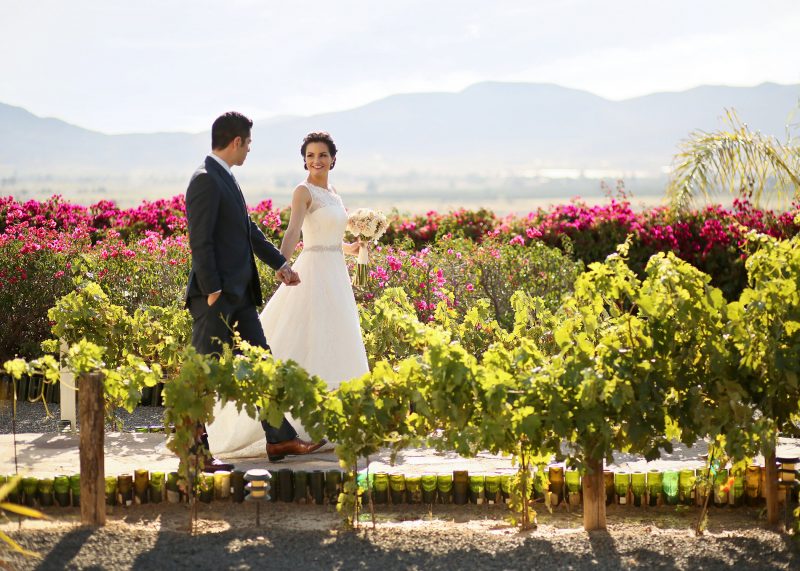 paquetes de boda en valle de guadalupe
