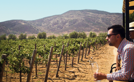 moverse en el valle de guadalupe