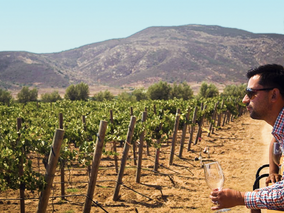 moverse en el valle de guadalupe