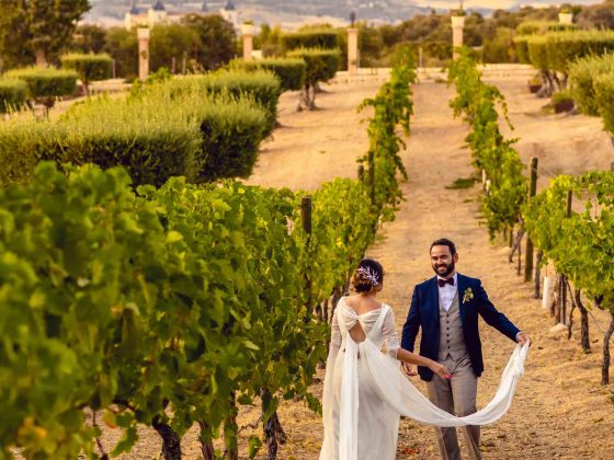 cuánto cuesta una boda en valle de guadalupe