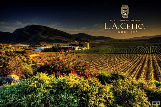 la cetto bodega valle de guadalupe