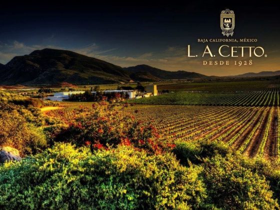 la cetto bodega valle de guadalupe