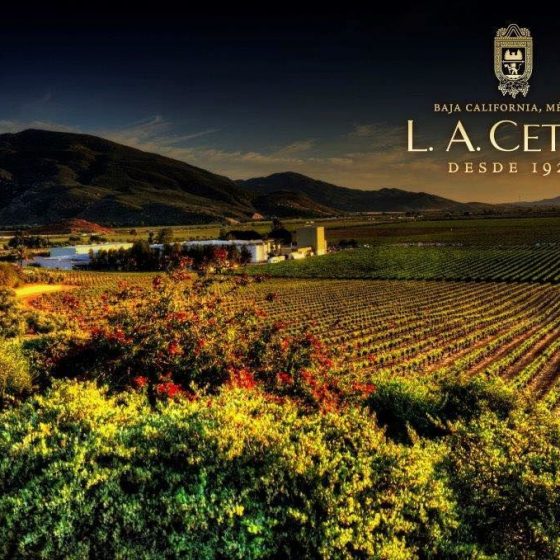 la cetto bodega valle de guadalupe