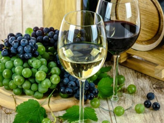 Fiestas de la Vendimia Valle