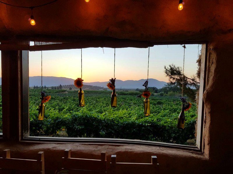 What is valle de guadalupe known for?