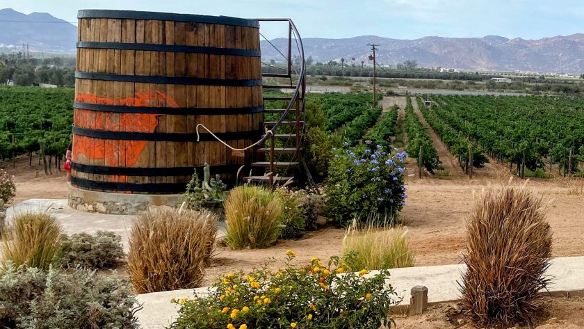 Wineries at Valle de Guadalupe