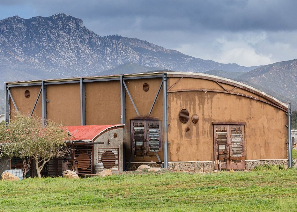 concierto enológico viñedo valle de guadalupe
