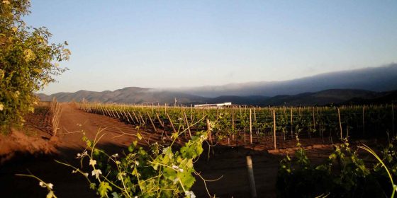 Is Valle de Guadalupe Safe in 2023?