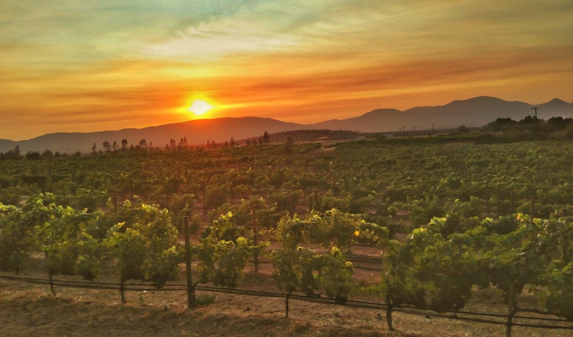 Sunset in Valle de Guadalupe