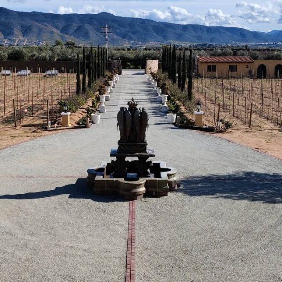 Hotels in Valle de Guadalupe