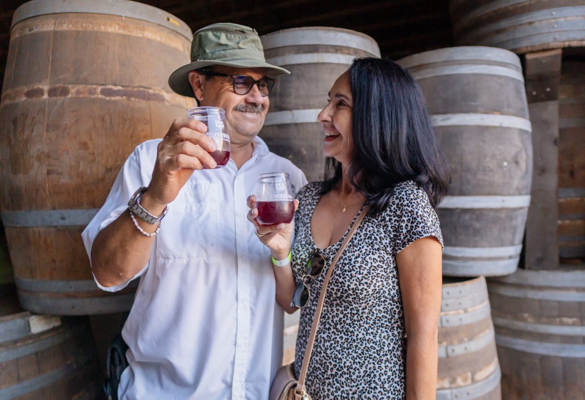 vinos en valle de guadalupe