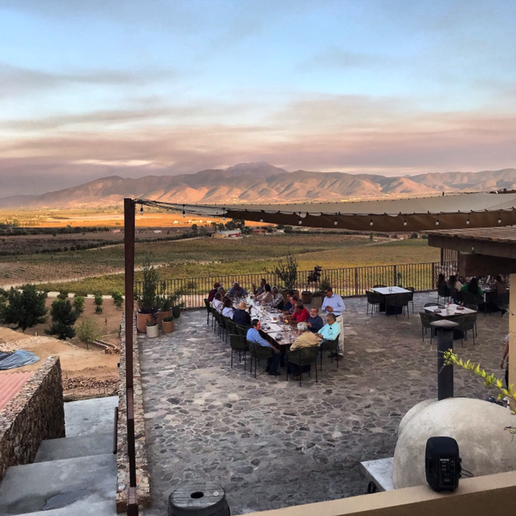 Dining with one of the best views in Guadalupe Valley.