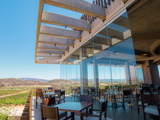 valle de guadalupe restaurants with a view